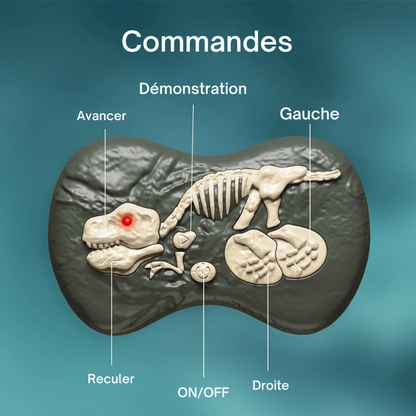Dinosaure Télécommandé RC SM016S Vert – Jouet Interactif avec Lumières et Sons