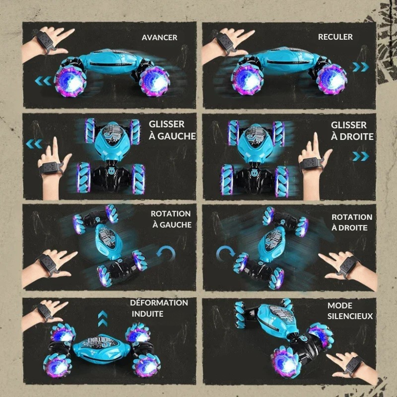 Voiture Télécommandée Cascade 4x4