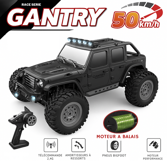 Monster Truck Télécommandé WLtoys 1:16 – Voiture RC 4x4 50 km/h avec LED & Batterie 7,4V
